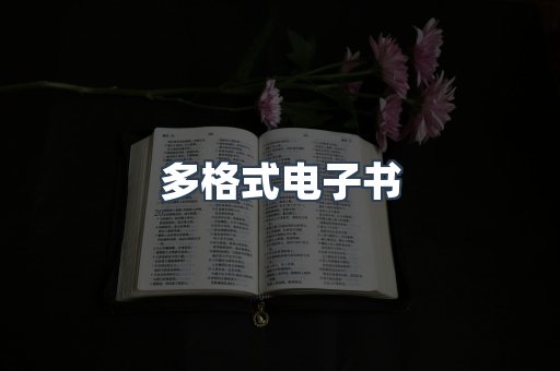 PDF电子书下载